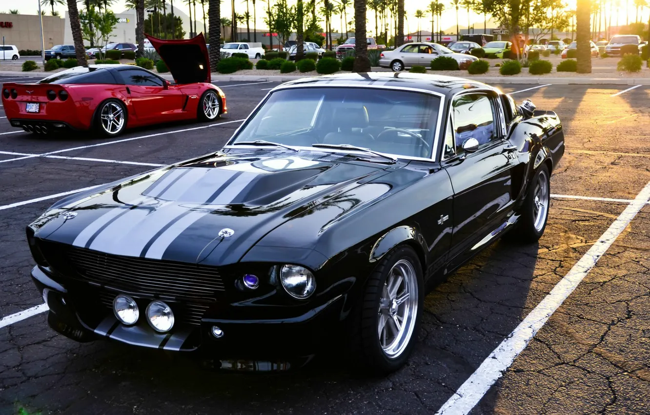 Photo wallpaper Mustang, Ford, Shelby, GT500, Eleanor, Black, Super Snake