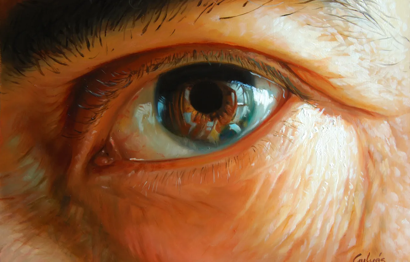 Photo wallpaper eyes, close-up, Oka, part of the face, Laszlo Gulyas, Laszlo Gulis