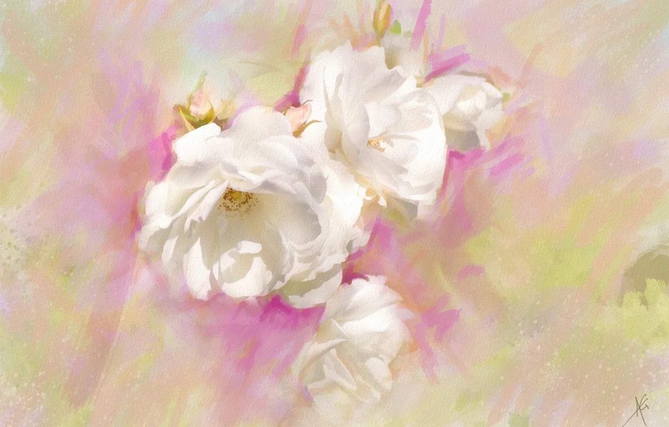 Photo wallpaper flowers, figure, graphics, roses, treatment, picture, petals, art