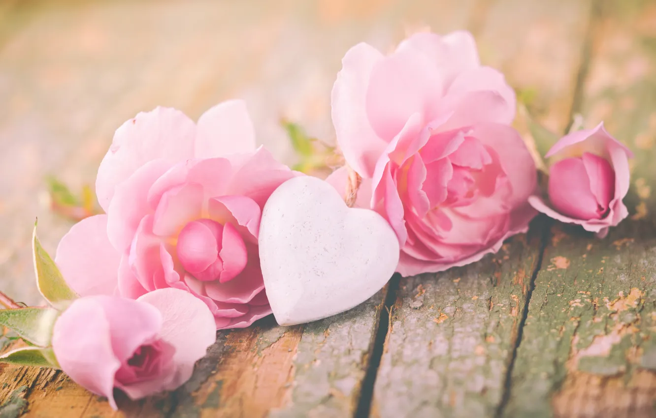 Photo wallpaper roses, petals, love, heart, pink, flowers, romantic, roses