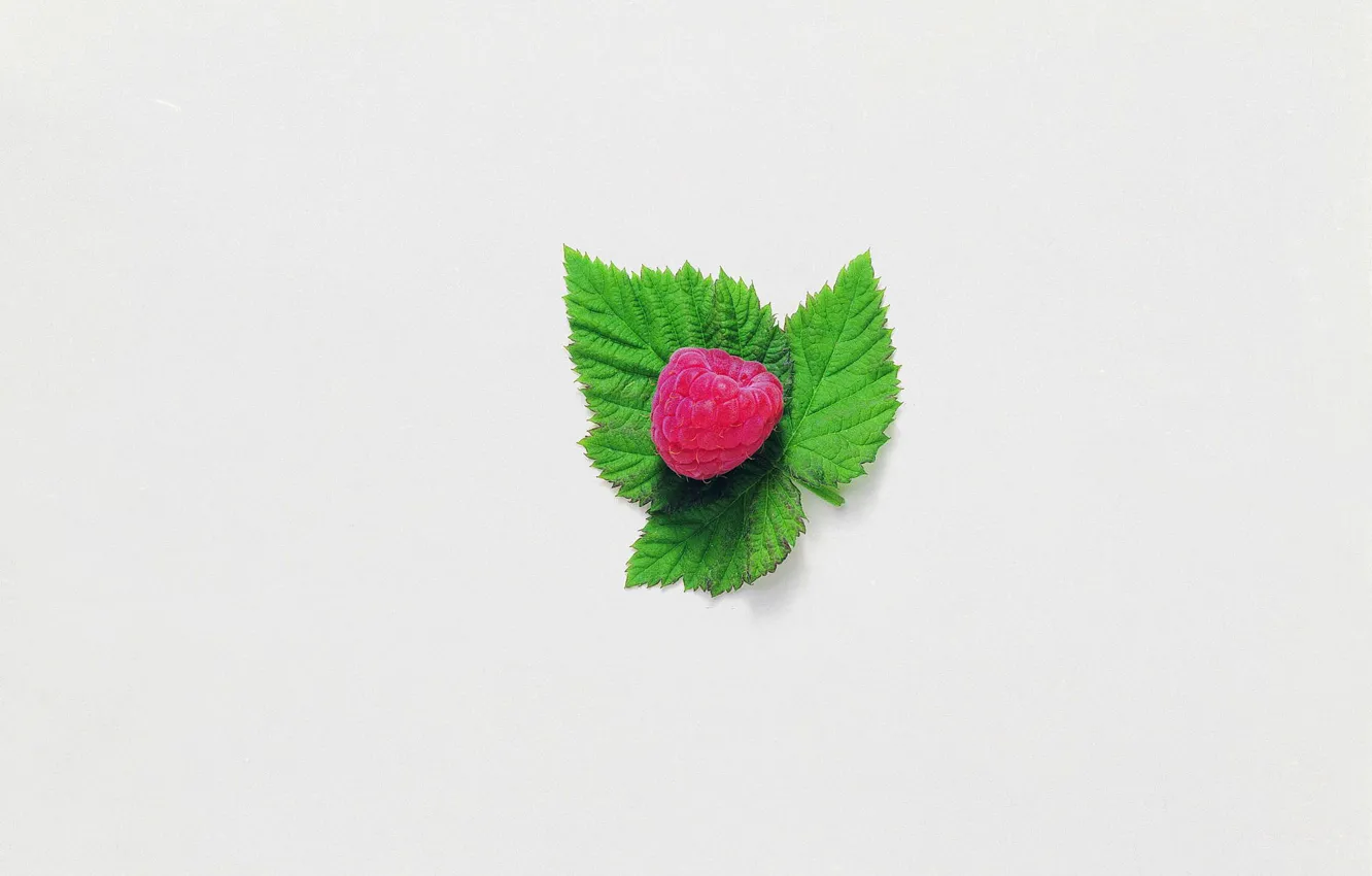 Photo wallpaper raspberry, berry, leaf, mint