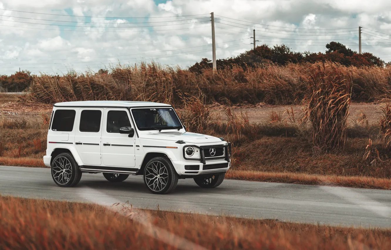 Photo wallpaper Mercedes-Benz, Mercedes, G, G-class, Gelendvagen, Mercedes-Benz G-class, Mercedes-Benz G-Class