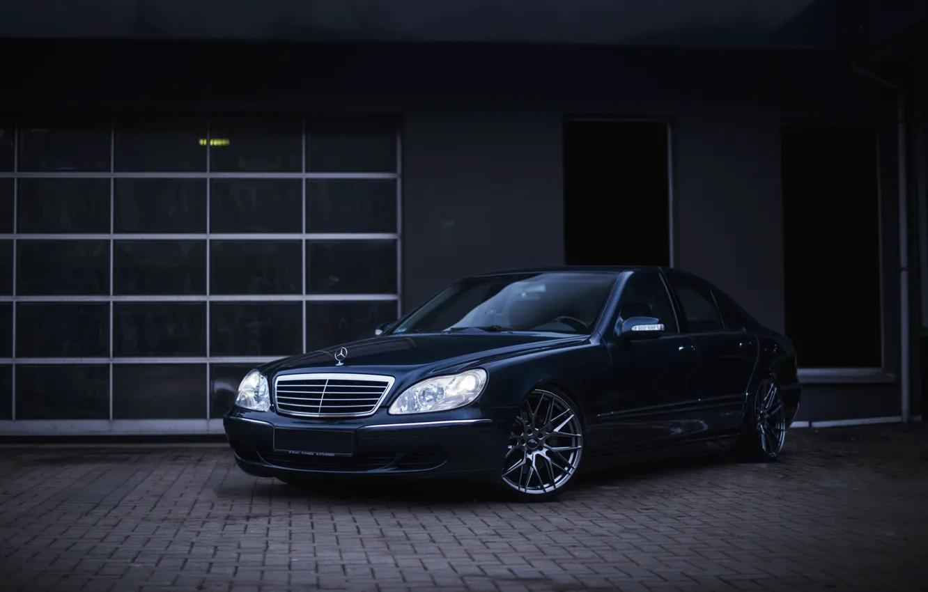 Photo wallpaper Fox, Mercedes, Black, Sedan, S500, W220, Business