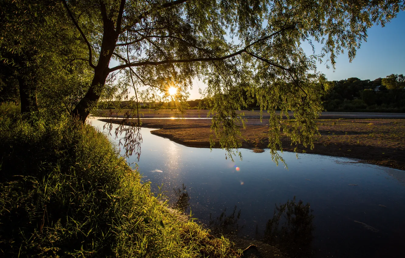 Photo wallpaper the sun, trees, river