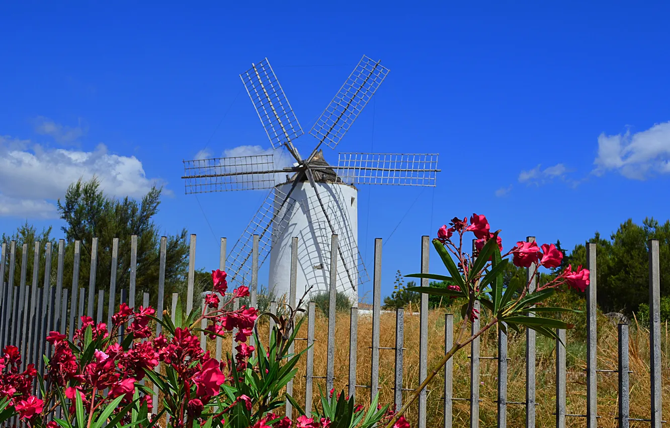 Photo wallpaper the sky, clouds, flowers, the fence, mill, Netherlands