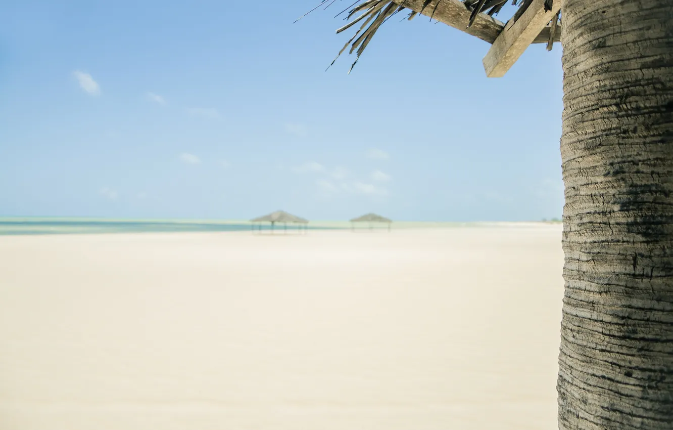 Photo wallpaper beach, summer, stay