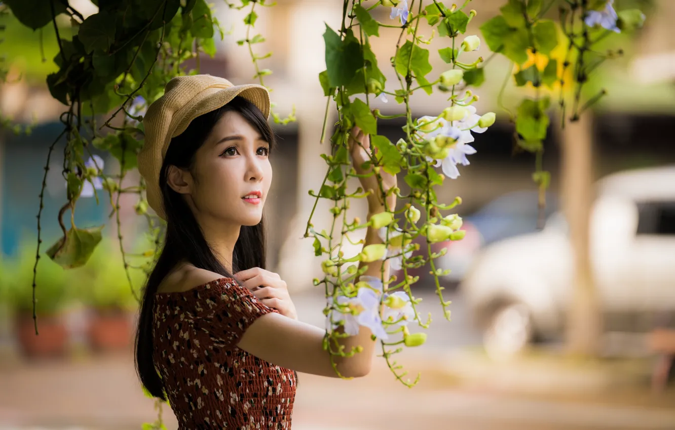 Photo wallpaper girl, branches, cap, Asian