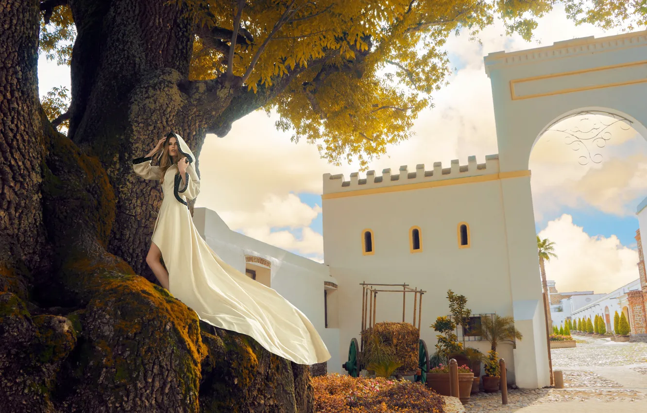 Photo wallpaper girl, model, hood, arch, fashion