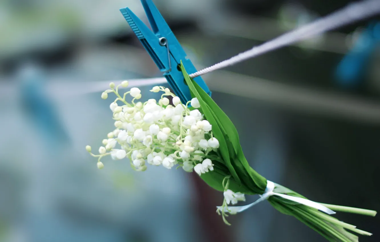 Photo wallpaper white, flowers, blue, spring, rope, lilies of the valley, clothespins