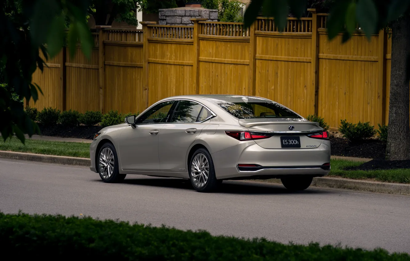 Photo wallpaper the fence, Lexus, Toyota, sedan, hybrid, 2018, Avalon, four-door