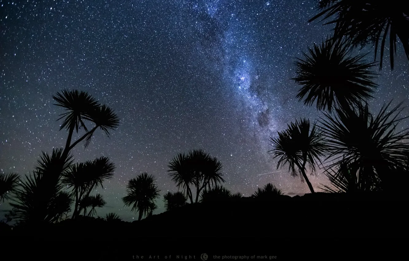 Photo wallpaper the sky, stars, night, palm trees, meteor, photographer, Mark Gee