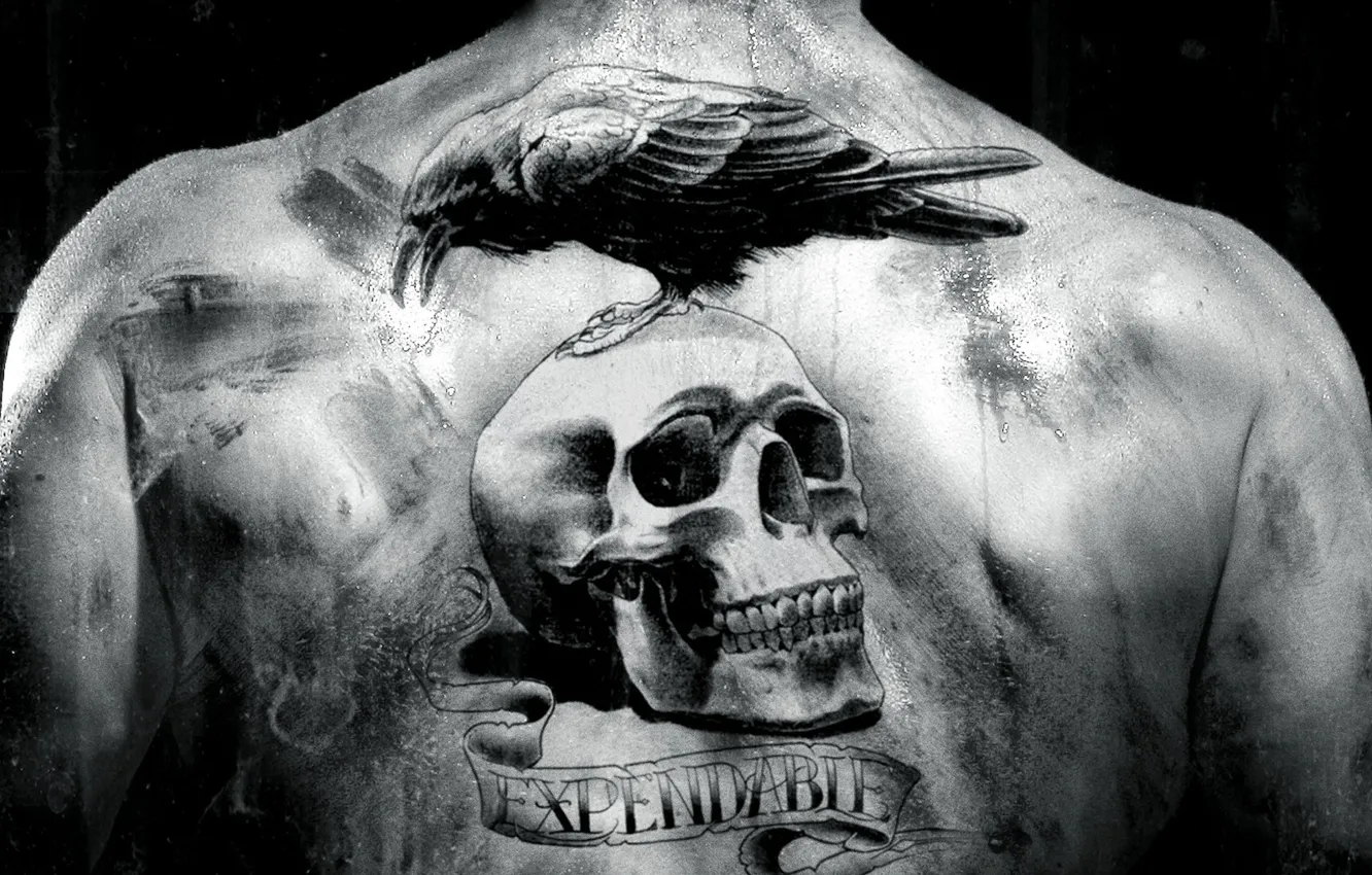 Photo wallpaper the film, back, skull, black and white, tattoo, Raven, The Expendables, the expendables