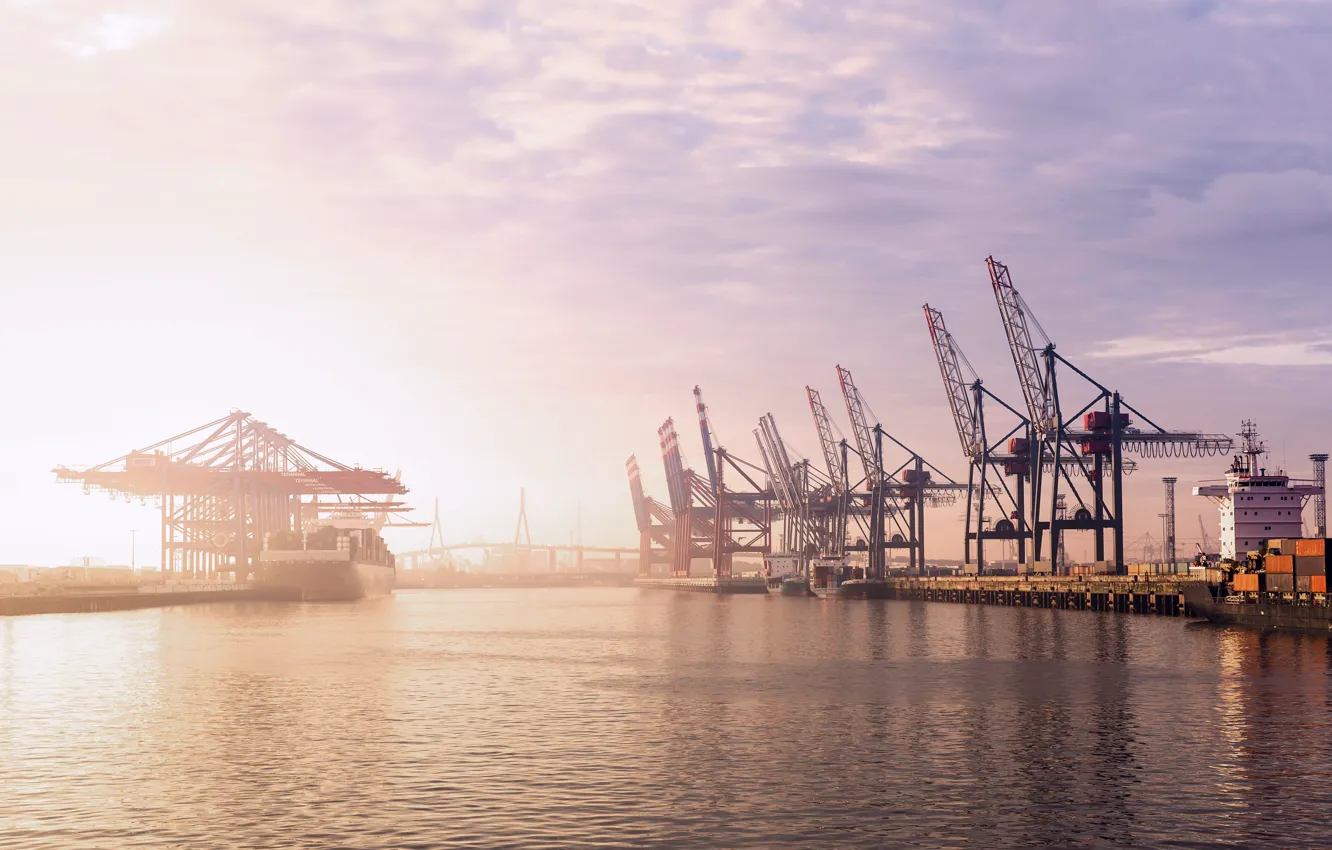 Photo wallpaper The sun, Port, Germany, Dawn, Hamburg, A container ship, Terminal, Container