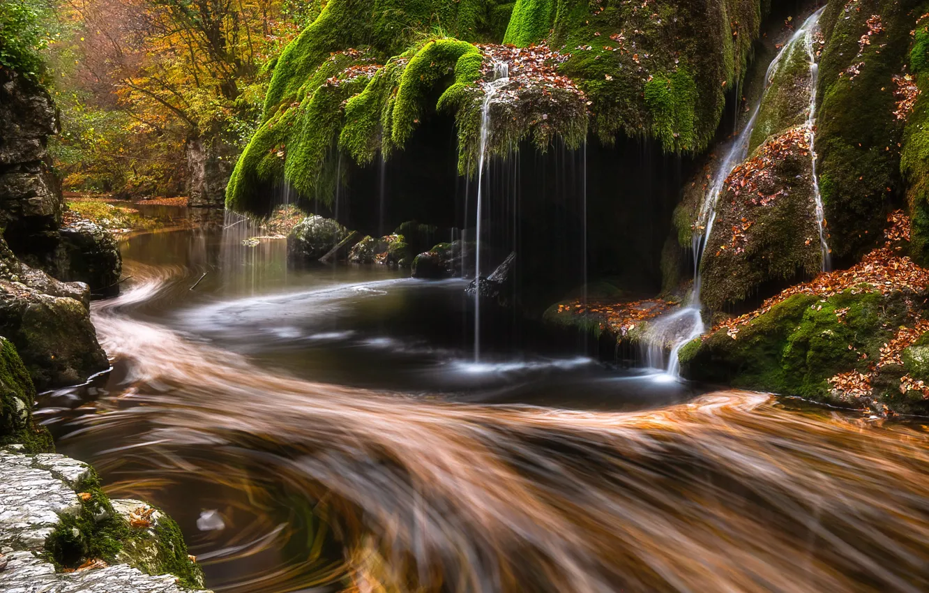 Photo wallpaper autumn, forest, light, branches, river, stones, rocks, shore