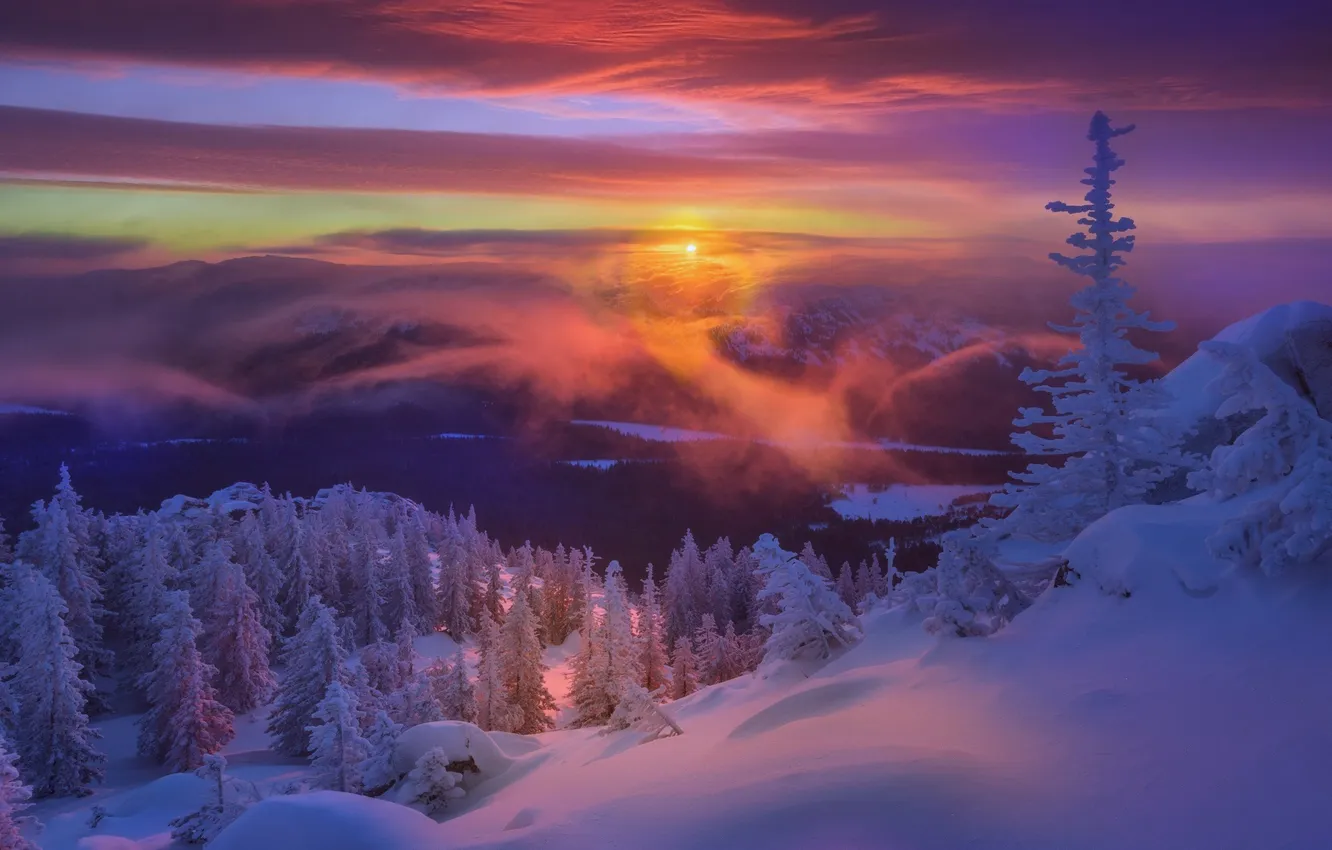 Photo wallpaper winter, frost, forest, the sun, clouds, light, snow, sunset