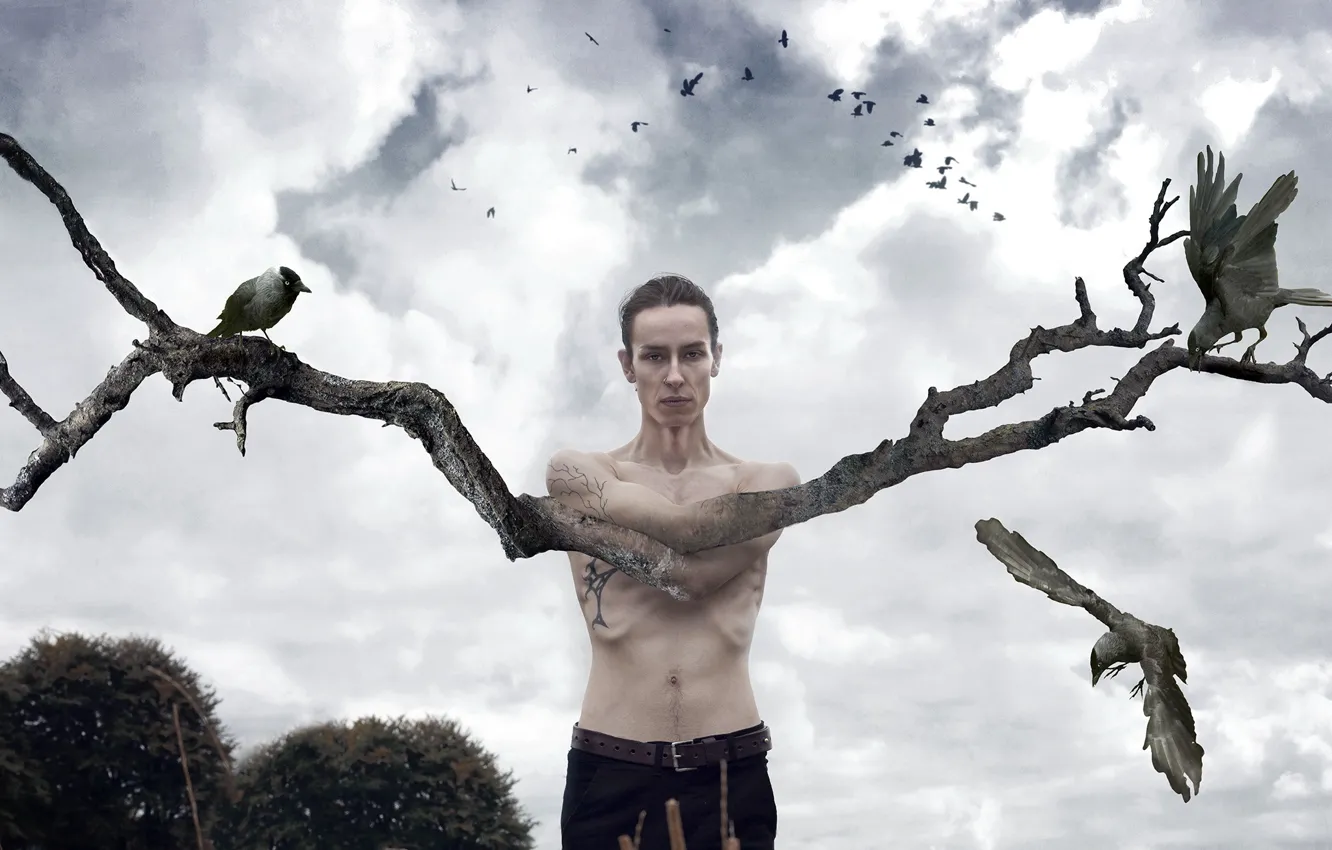 Photo wallpaper trees, bird, people