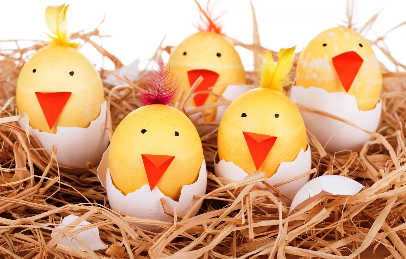 Photo wallpaper eggs, socket, smile, smile, Easter, eggs, funny
