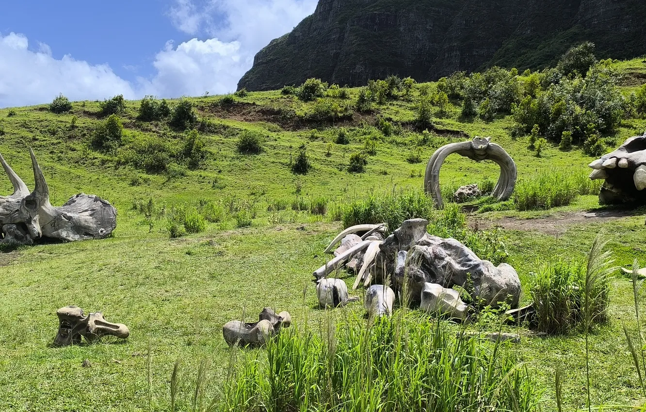 Photo wallpaper Hawaii, Oahu, Kong, Kong Skull Island