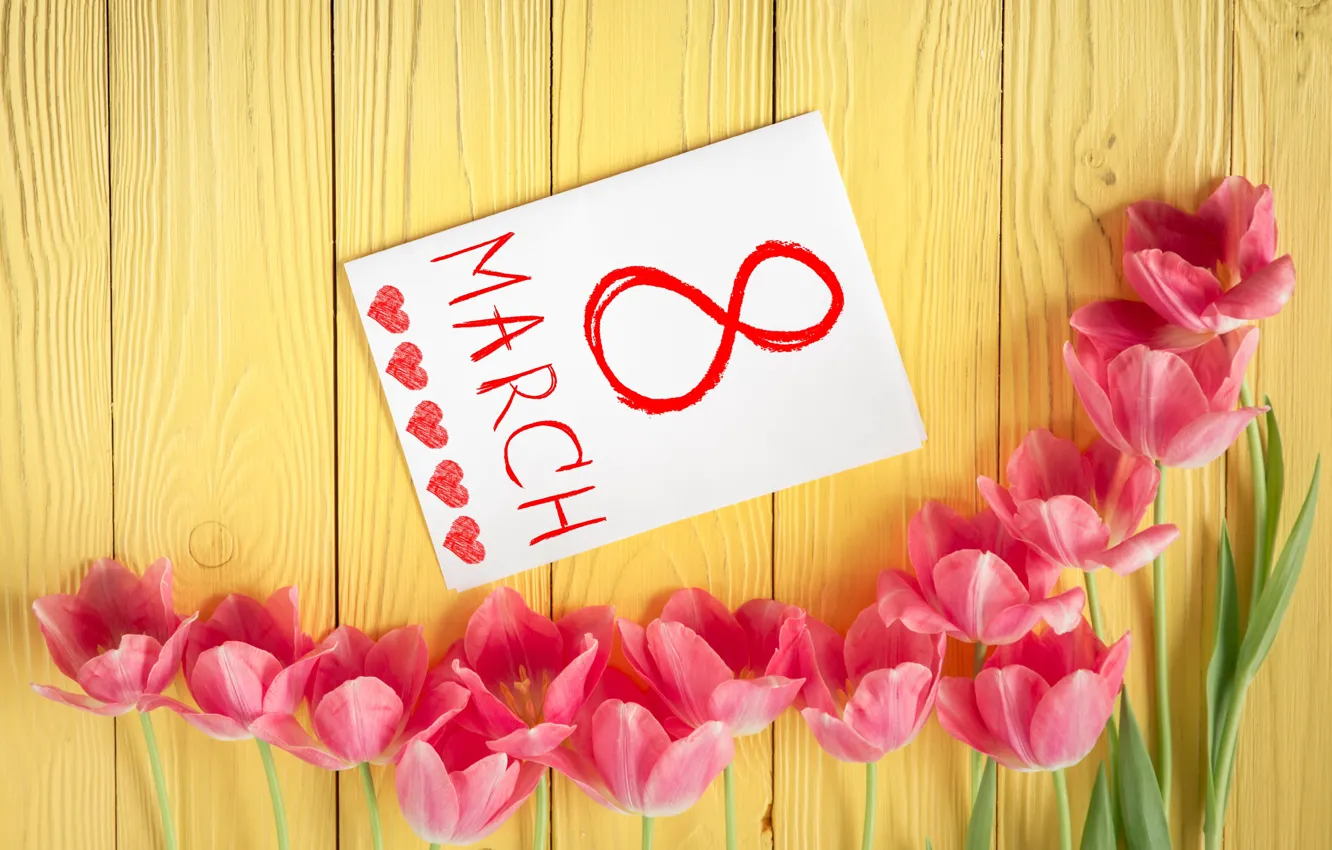 Photo wallpaper flowers, tulips, love, March 8, pink, romantic, tulips, gift