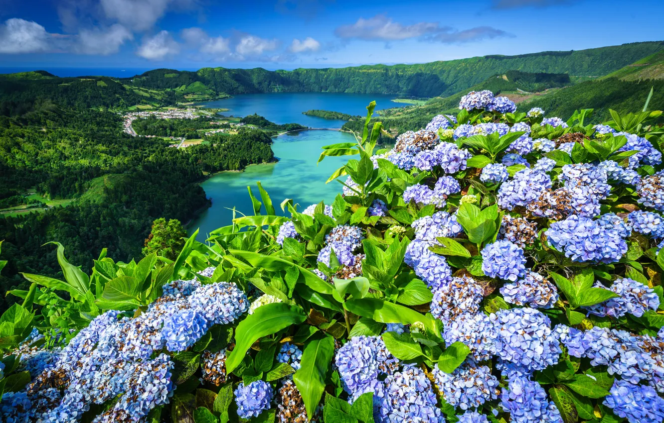Photo wallpaper landscape, flowers, mountains, nature, lake, hills, vegetation, Portugal