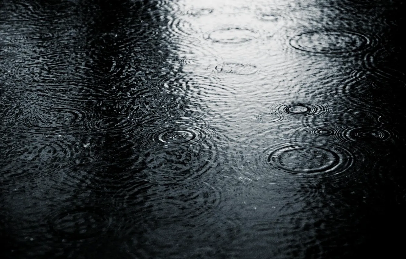 Photo wallpaper cold, drops, nature, rain, black and white, puddle