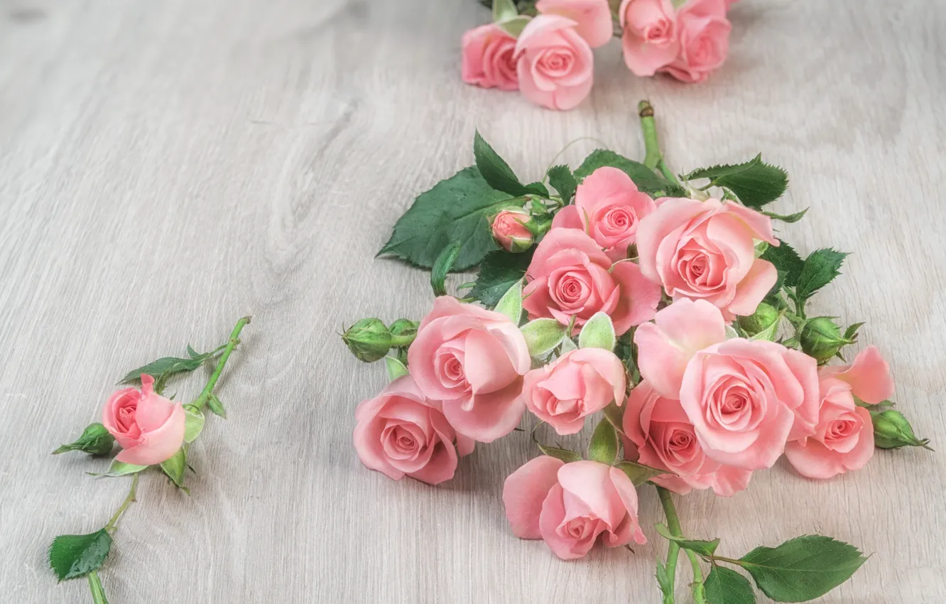 Photo wallpaper table, roses, pink, buds