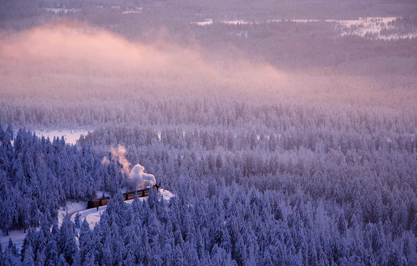 Photo wallpaper winter, road, forest, train, Germany, Saxony-Anhalt