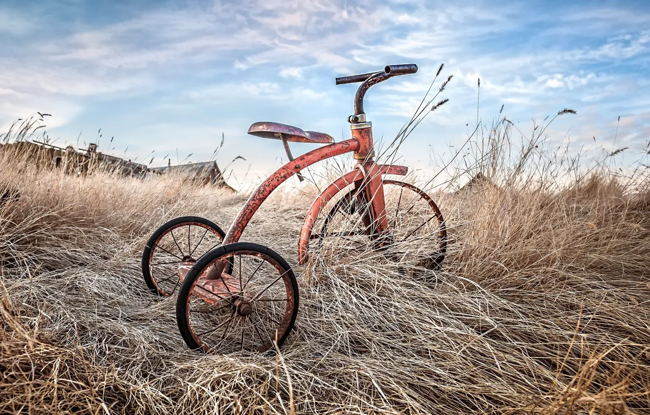Photo wallpaper grass, bike, background