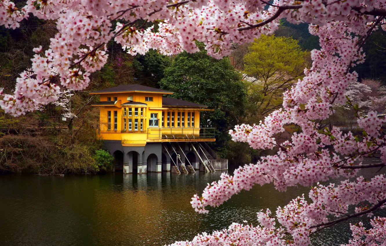 Photo wallpaper branches, lake, house, color, spring, Japan, Sakura, April