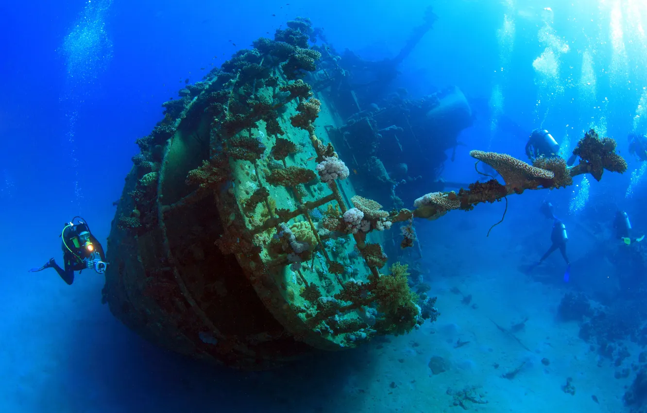 Photo wallpaper water, corals, the diver, diving, the bottom of the sea, water, diving, diver