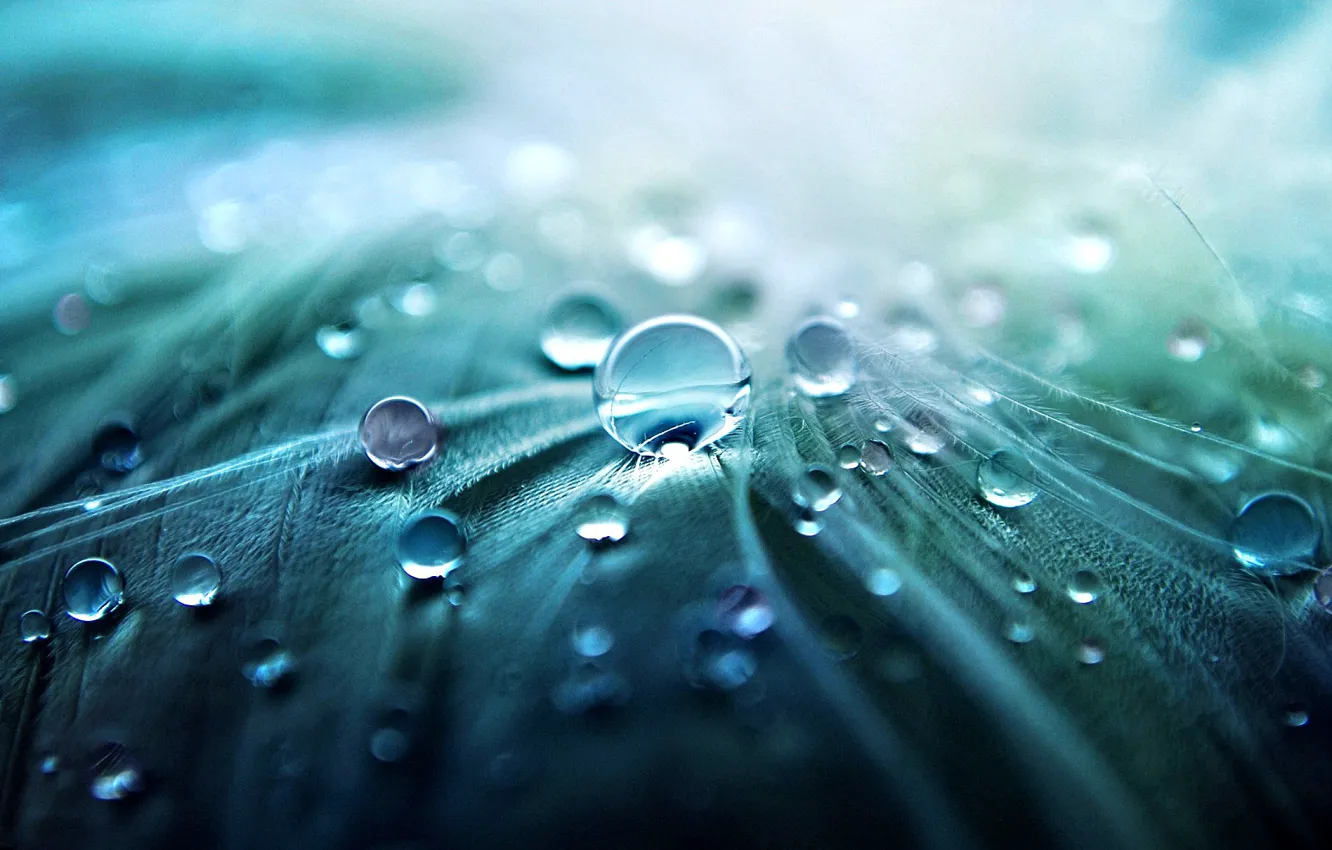 Photo wallpaper rain drops, drops of water, artstation