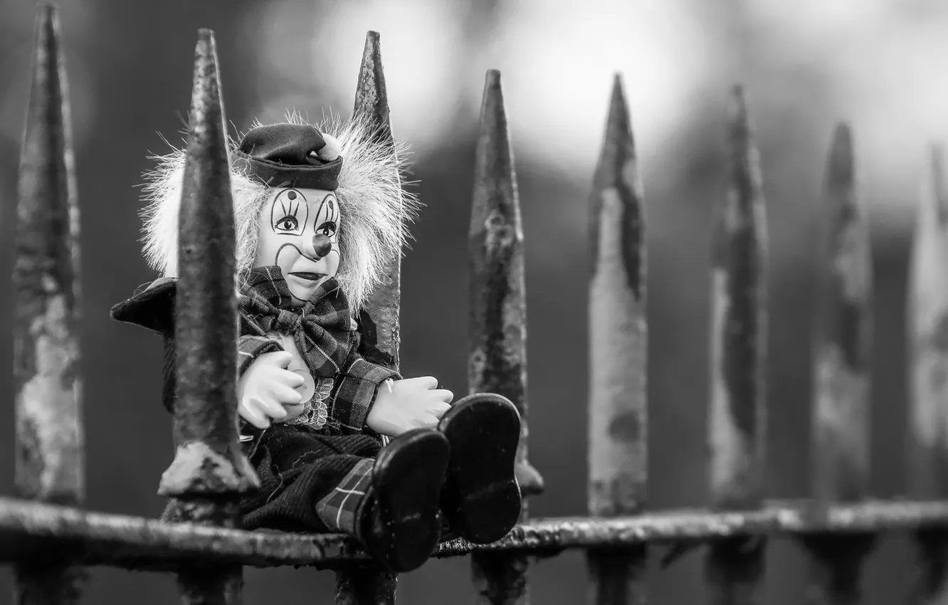 Photo wallpaper background, toy, the fence