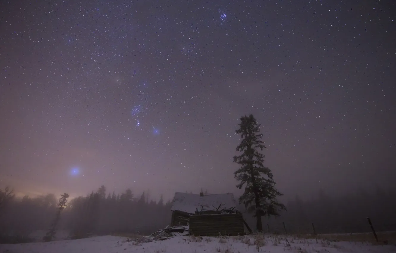 Photo wallpaper the sky, stars, trees, fog, home