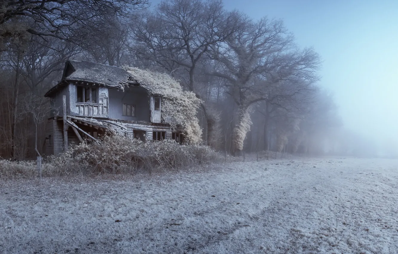 Photo wallpaper field, fog, house