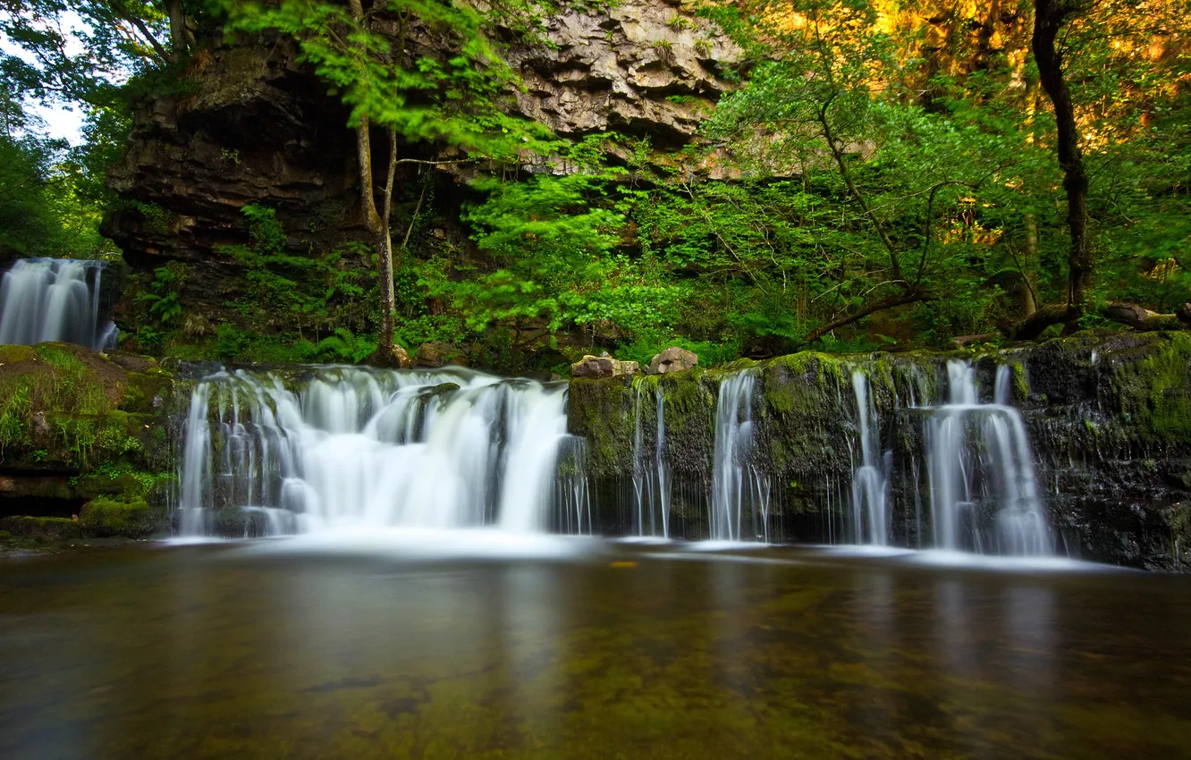 Photo wallpaper trees, rocks, waterfall, UK, gorge, fern, national Park, Wales