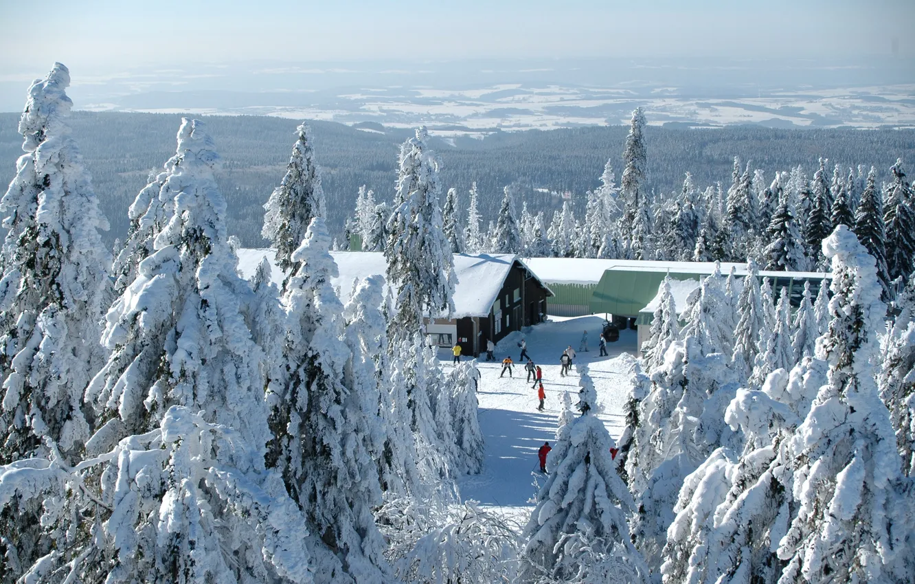 Photo wallpaper winter, snow, trees, landscape, nature, photo, spruce