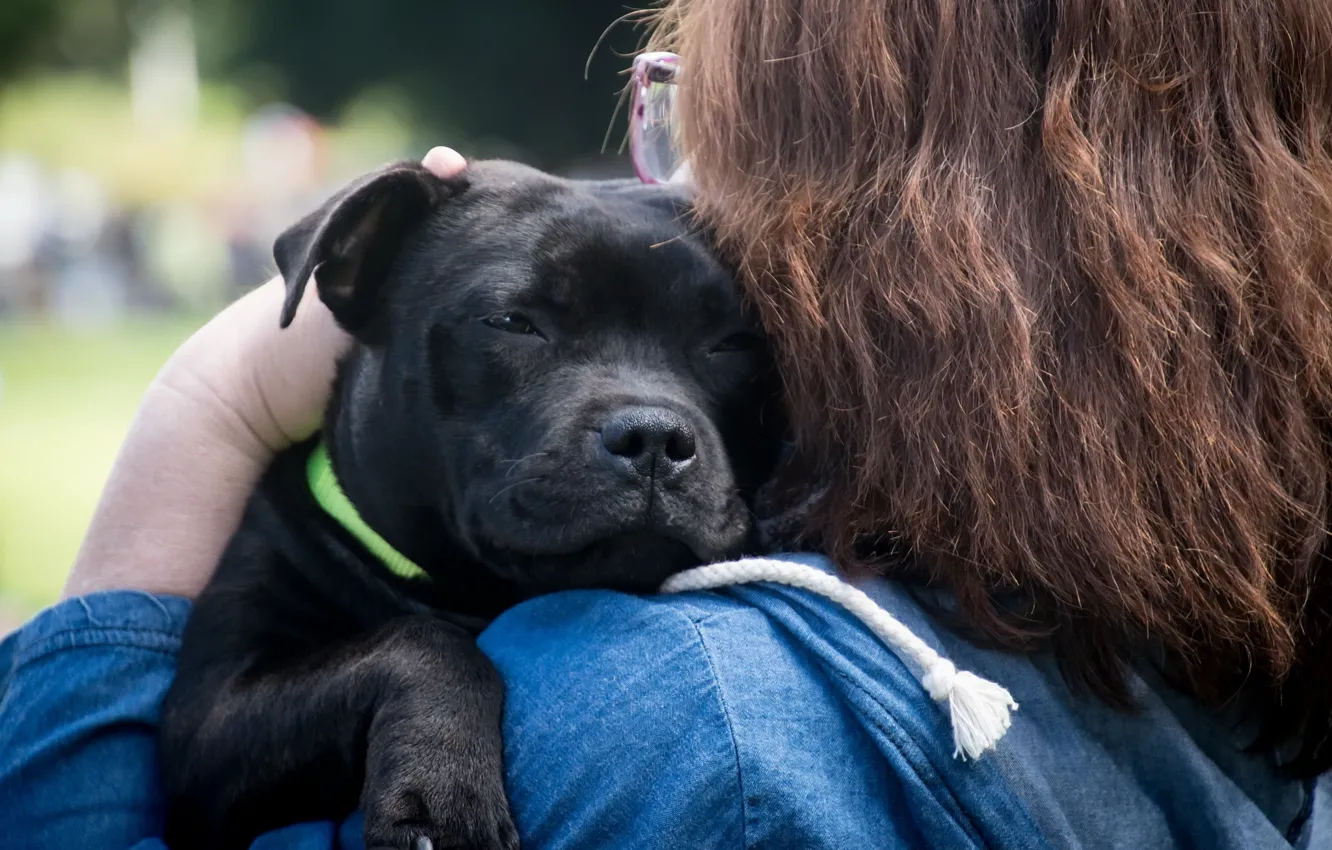 Photo wallpaper people, dog, friendship