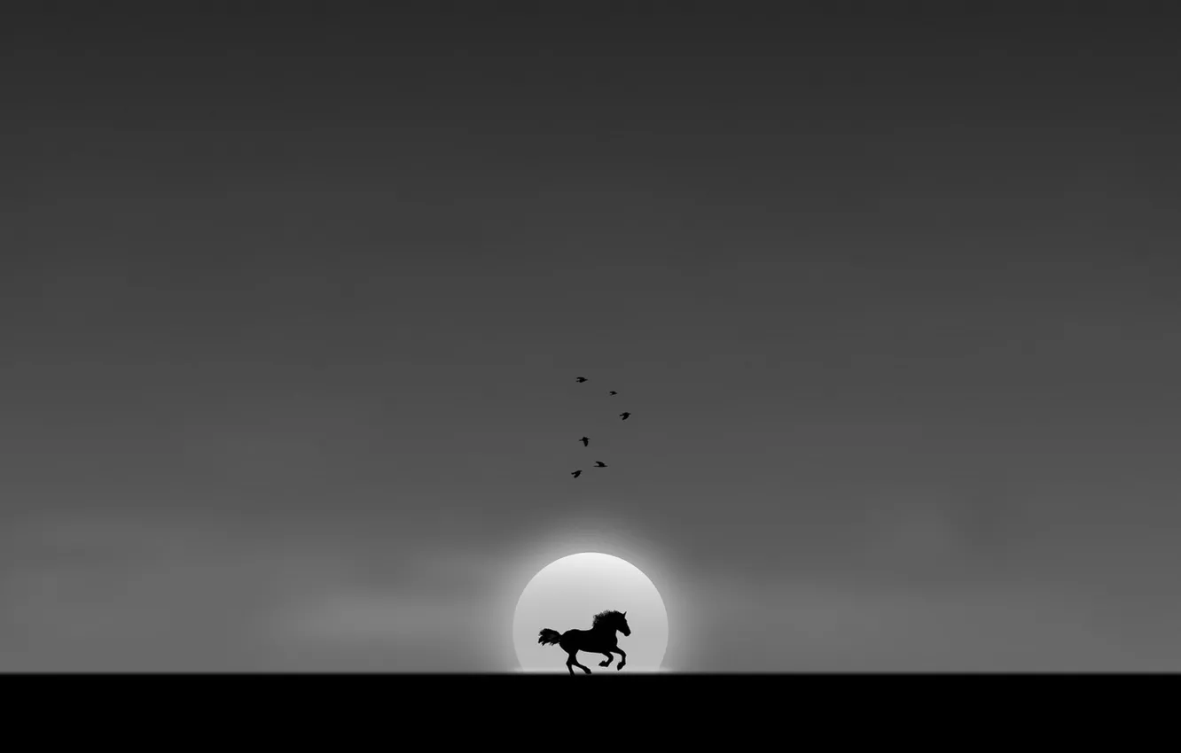 Photo wallpaper freedom, horse, bird