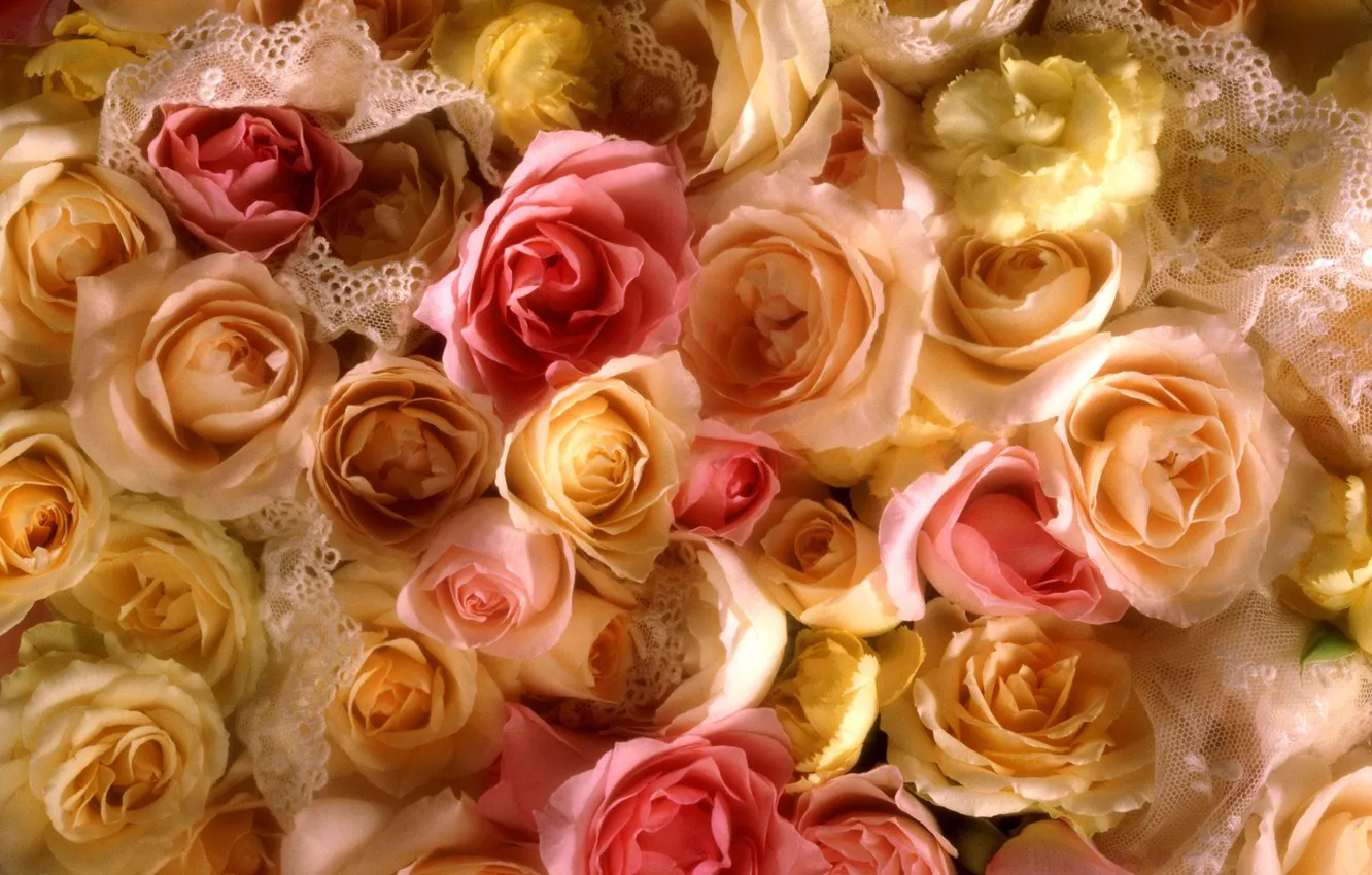 Photo wallpaper yellow, roses, rose