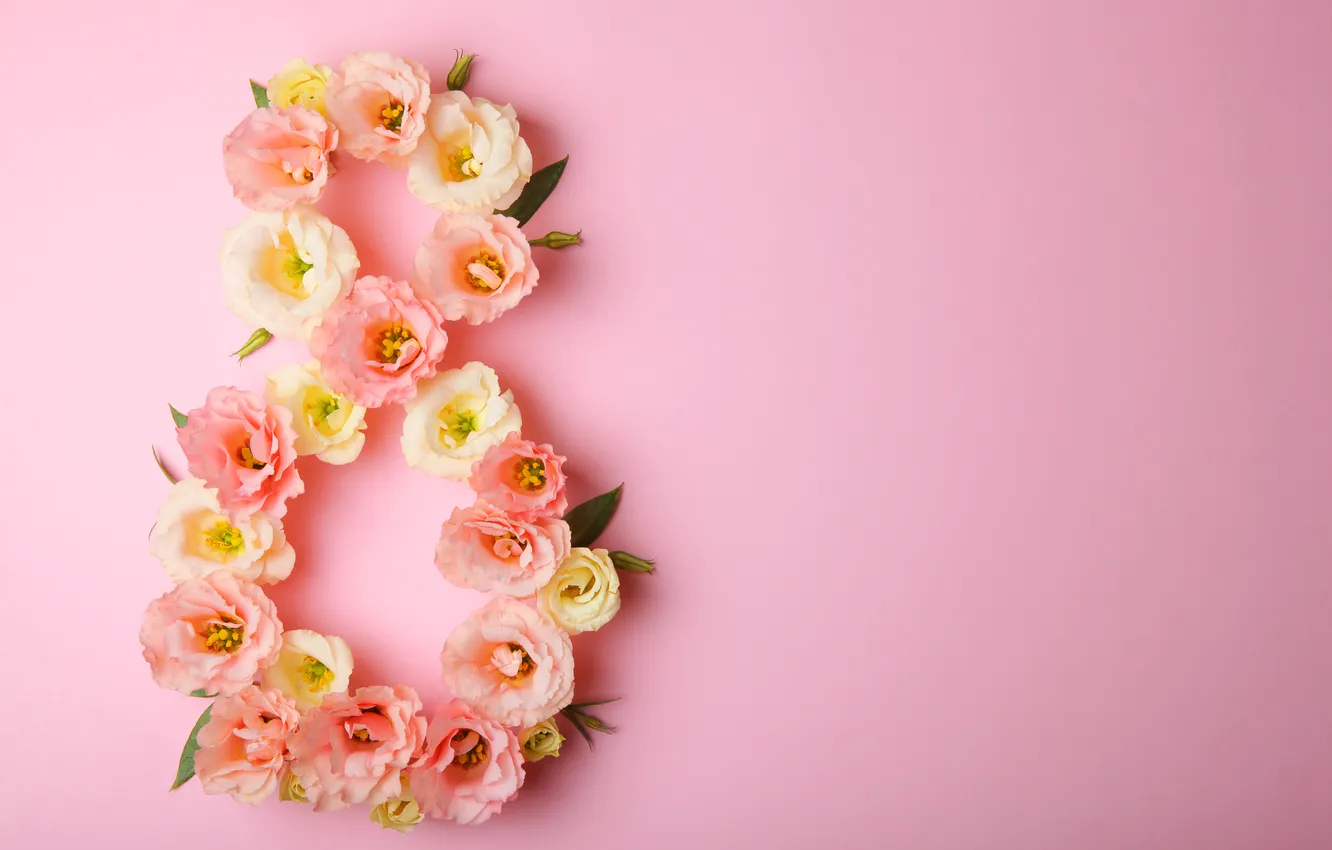 Photo wallpaper flowers, figures, pink background, March 8, pink, flowers, spring, number