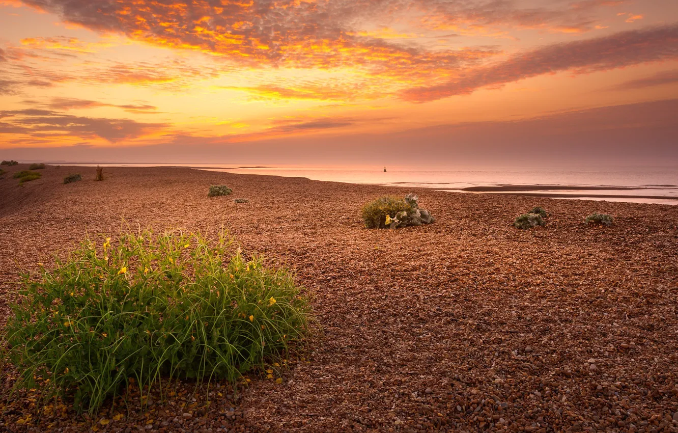 Photo wallpaper sea, sunset, shore