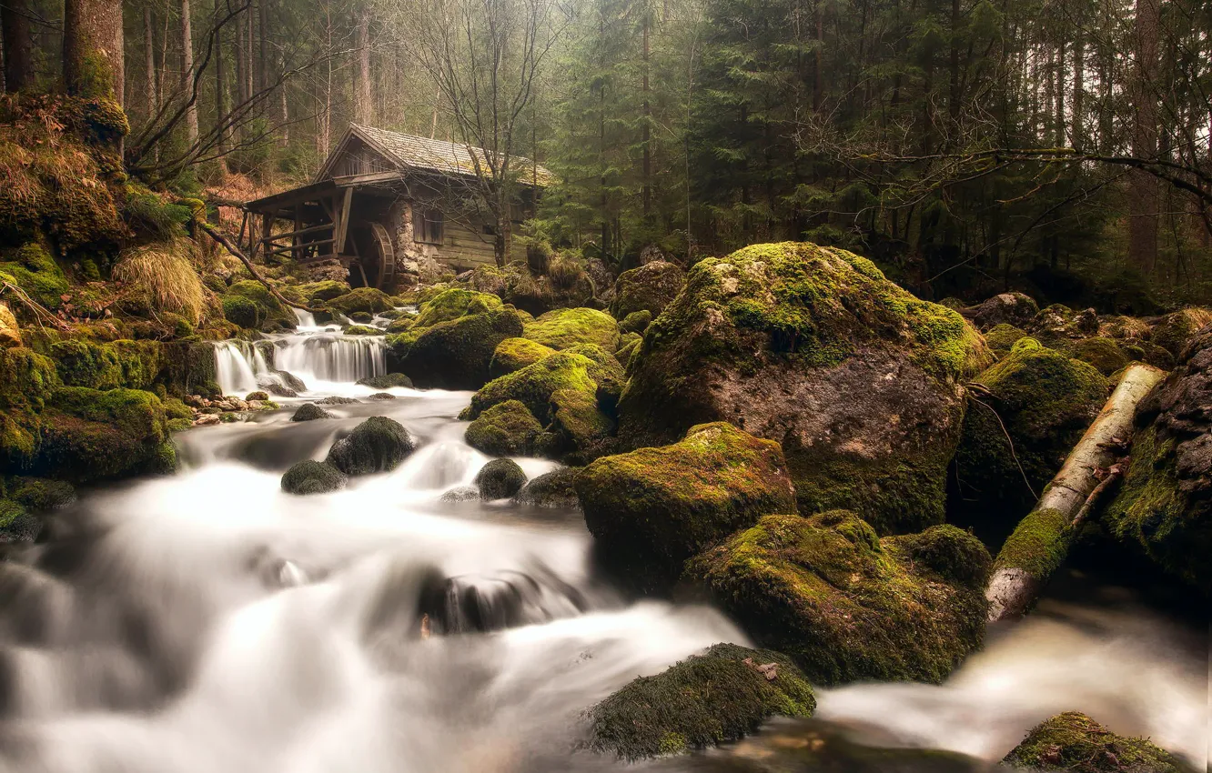 Photo wallpaper forest, river, stones, moss, Austria, haze, waterfalls, water mill