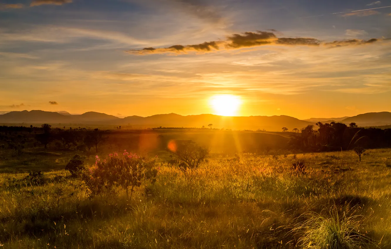 Photo wallpaper field, the sun, sunrise, horizon, mountains clouds, Brazil, Cerrado, Tocantins