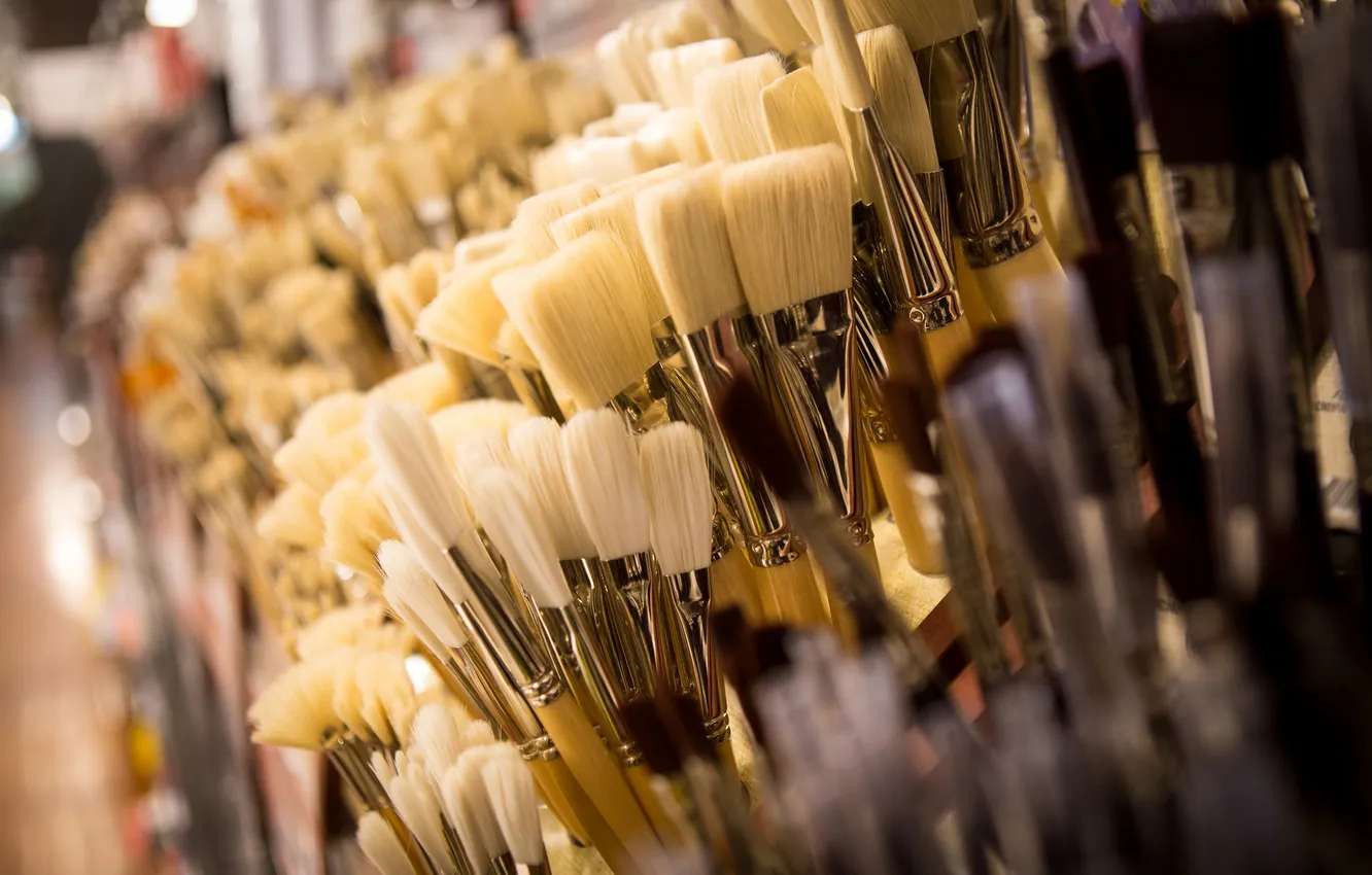 Photo wallpaper macro, background, brush