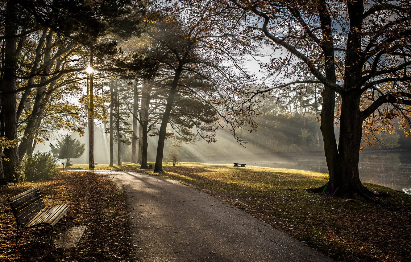 Photo wallpaper autumn, Park, bench
