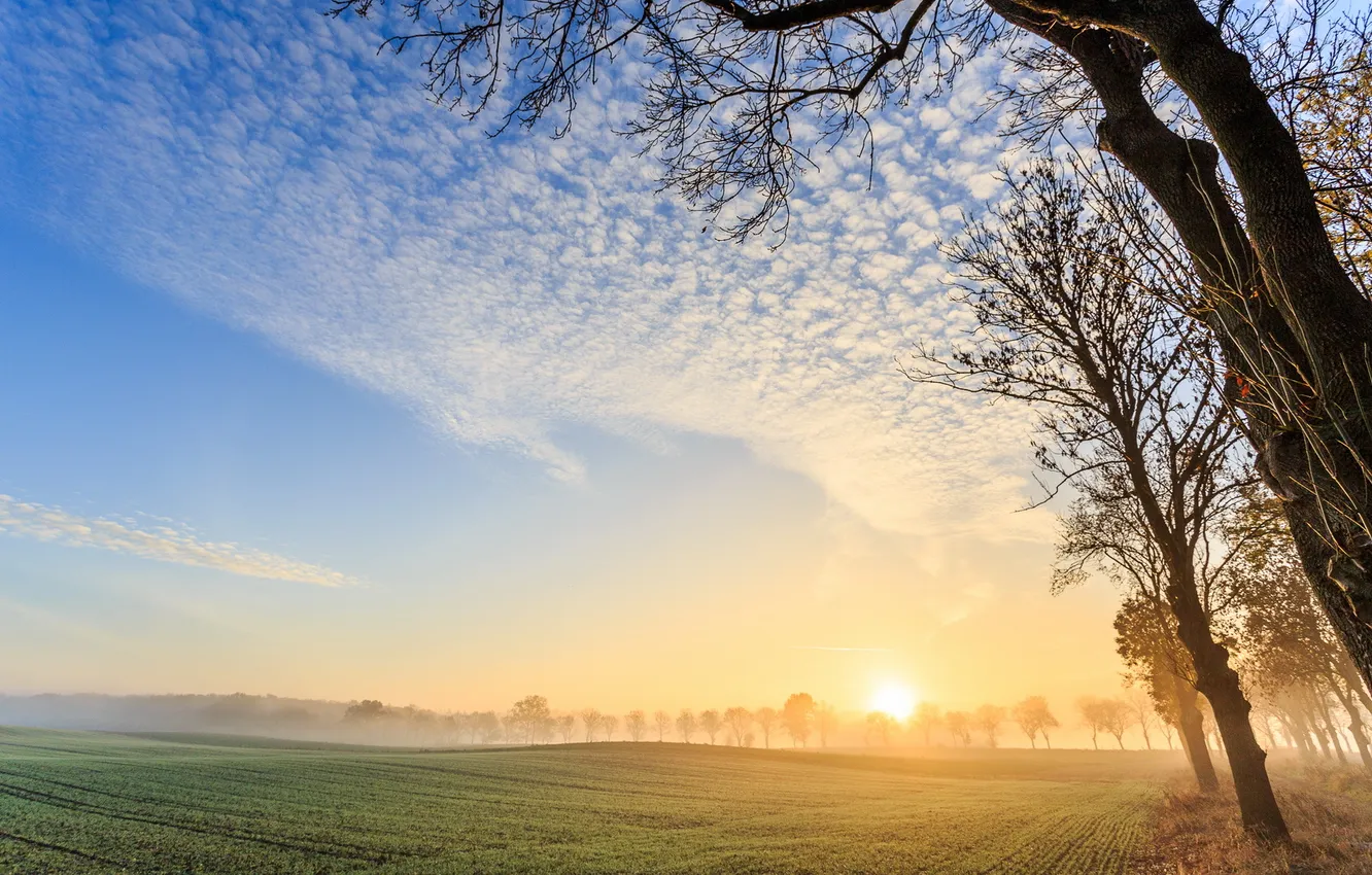 Photo wallpaper morning, sunrise, foggy