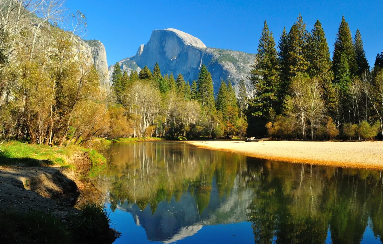 Photo wallpaper autumn, forest, trees, mountains, river, CA, USA, Yosemite National Park