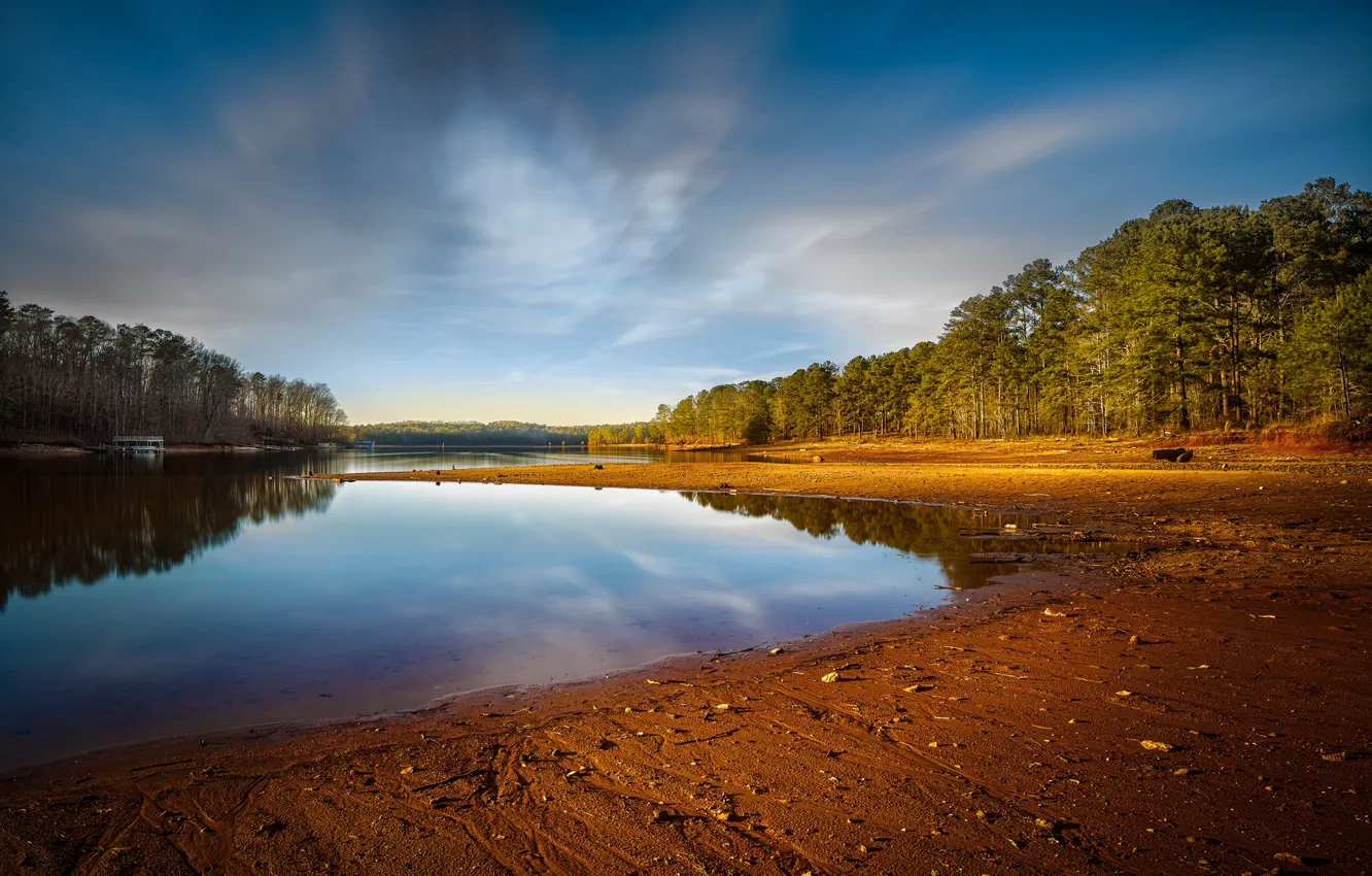 Photo wallpaper forest, beach, the sky, clouds, lake, shore, pond, pine