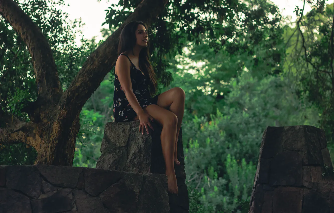 Photo wallpaper girl, trees, dress, sitting