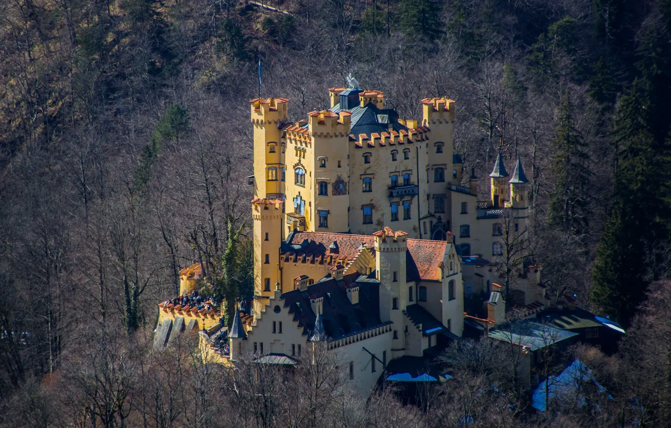 Photo wallpaper mountains, castle, tower, Germany, Hohenschwangau
